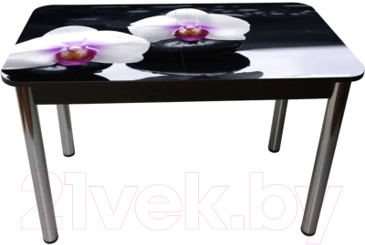 Обеденный стол Solt Рита 1с №149 (кромка черная/царга черная/ноги круглые хром)