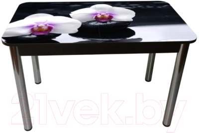 Обеденный стол Solt Рита 2с №149 (кромка черная/царга черная/ноги круглые хром)