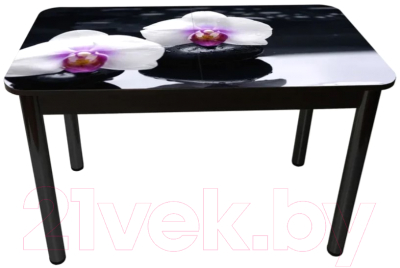 Обеденный стол Solt Рита 1с №149 (кромка черная/царга черная/ноги круглые черные)