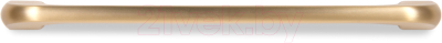 Ручка для мебели Boyard Jetline RS219SG.4/224