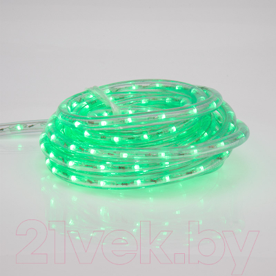 Светодиодный шнур (дюралайт) Neon-Night 245-109 (6м)