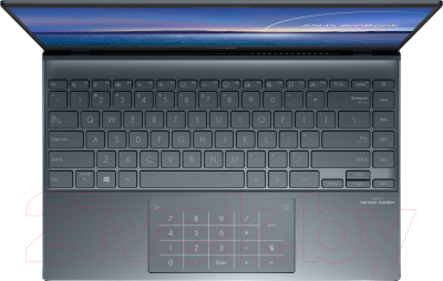 Ноутбук Asus ZenBook 14 UM425IA-AM037T