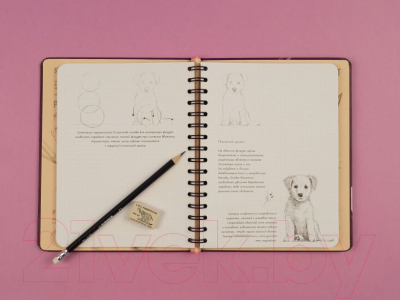 Творческий блокнот Эксмо SketchBook. Продвинутые техники (пурпур)