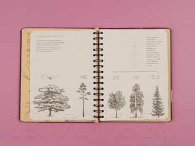 Творческий блокнот Эксмо SketchBook. Продвинутые техники (пурпур)