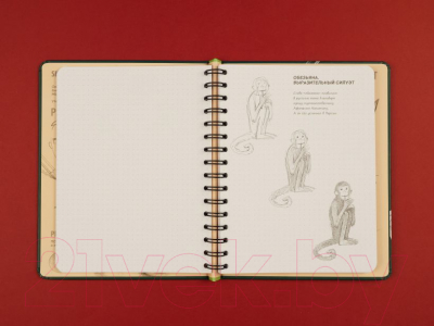 Творческий блокнот Эксмо SketchBook. Животные (изумруд)