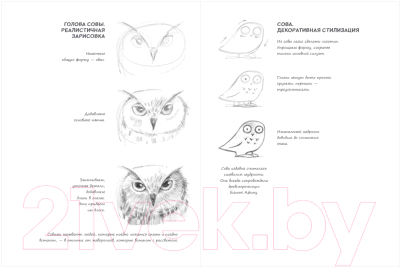 Творческий блокнот Эксмо SketchBook. Животные (изумруд)