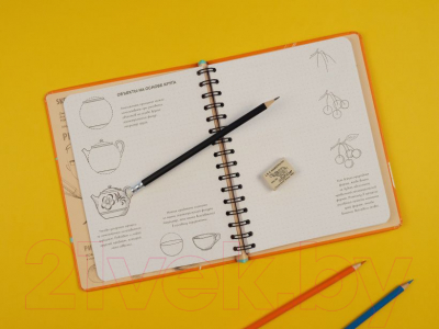 Творческий блокнот Эксмо SketchBook. Рисуем за 30 секунд. Основные навыки