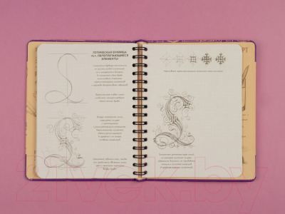 Творческий блокнот Эксмо Рисуем красивые шрифты. Искусство леттеринга. Экспресс-курс