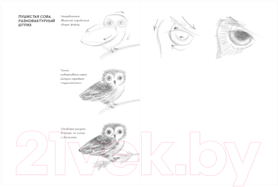 Творческий блокнот Эксмо SketchBook. Животные (мята)