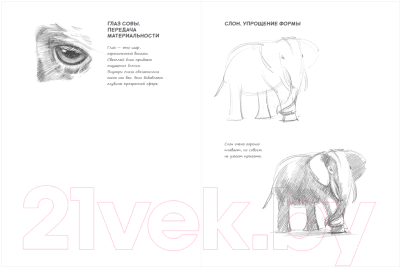Творческий блокнот Эксмо SketchBook. Животные (мята)