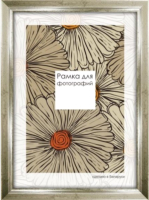 

Рамка ПАЛИТРА, 2219/44 30x45