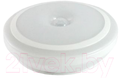 

Светильник ЖКХ TDM, SQ0329-3614