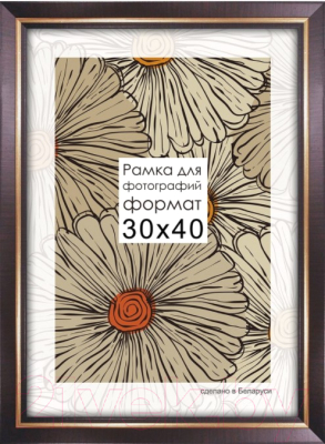 

Рамка ПАЛИТРА, 2219/16 60x80