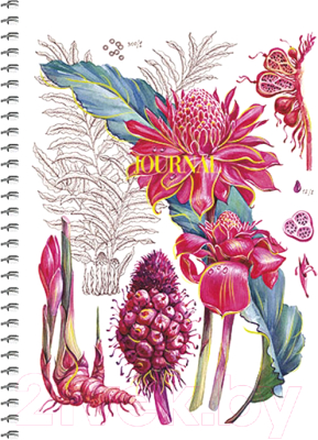 

Тетрадь Школярик, Petite Notebook / B6-SC-150-6049K