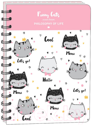 

Тетрадь InFolio, Funny cats / N977