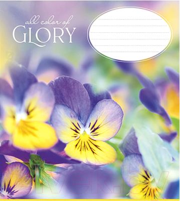 

Тетрадь Школярик, Glory / 012-2729L/470449