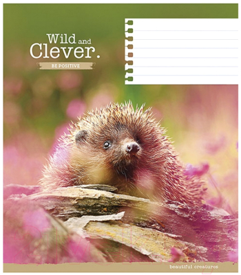 

Тетрадь Школярик, Wild and Clever / 012-2540L/472061