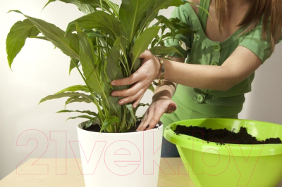 Грунт для растений Biolan Potting Muld Чернозем для комнатных растениq 57361111 (5л)
