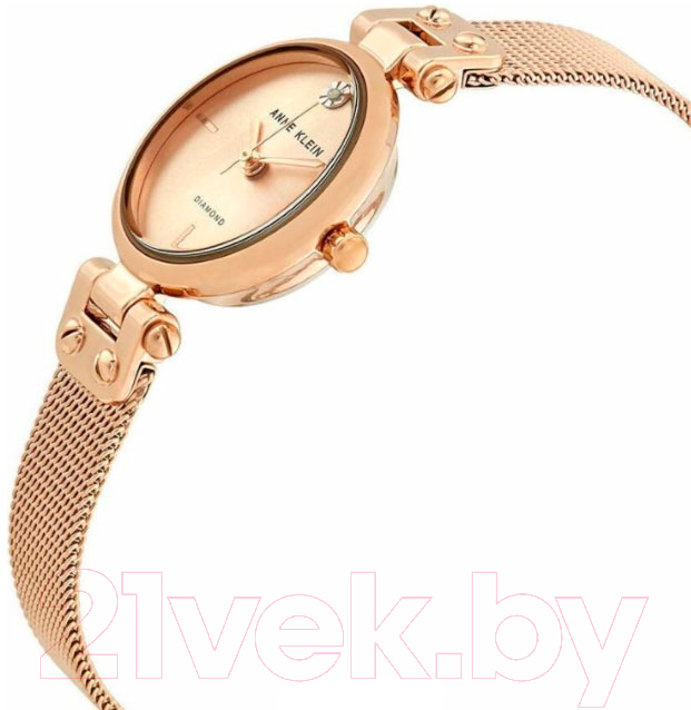 Часы наручные женские Anne Klein AK/3002RGRG