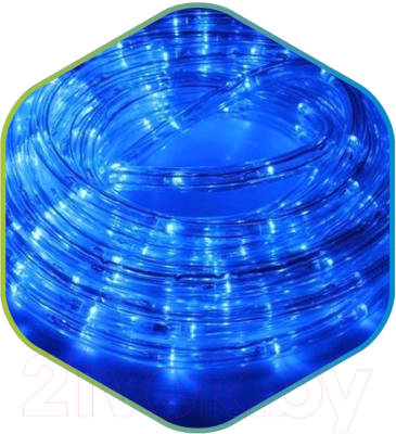 Светодиодный шнур (дюралайт) ETP LKB2002-B (10м, голубой)