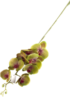 Искусственный цветок Белбогемия Орхидея FL4013 / 78227 - 