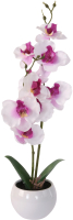 Искусственный цветок Белбогемия Орхидея / 94375 - 