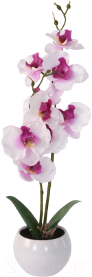 Искусственный цветок Белбогемия Орхидея / 94375