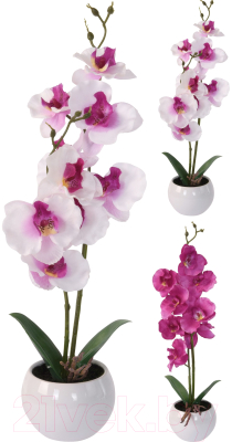 Искусственный цветок Белбогемия Орхидея / 94375