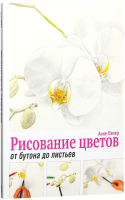 Книга Попурри Рисование цветов от бутона до листьев (Пипер Анне) - 