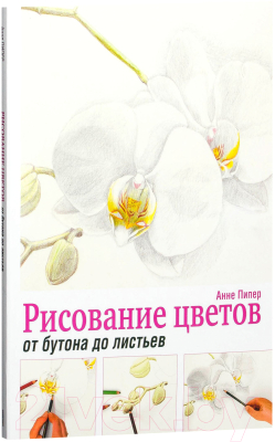 Книга Попурри Рисование цветов от бутона до листьев (Пипер Анне)