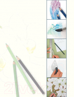 Книга Попурри Рисование цветов от бутона до листьев (Пипер Анне)