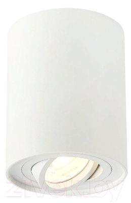 Точечный светильник ST Luce ST108.517.01