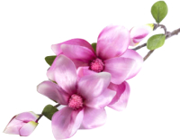 Искусственный цветок Home Line Магнолия / CH109-3 - 