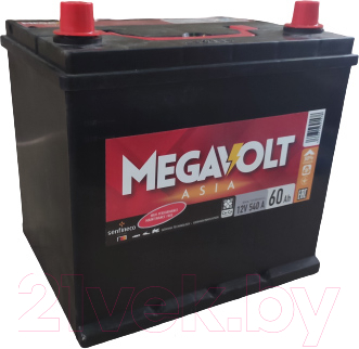 Автомобильный аккумулятор Senfineco Megavolt Asia R+ SMA/12V60Ah/R