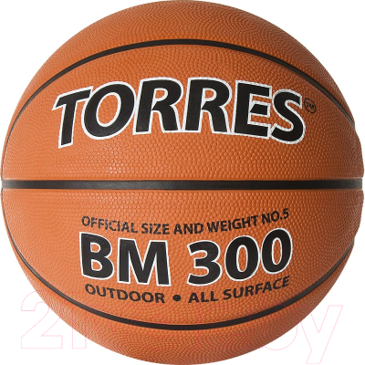 Баскетбольный мяч Torres BM300 / B02015 (размер 5)