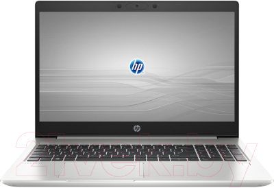 Ноутбук HP Probook 455 G7 (1F3M4EA)