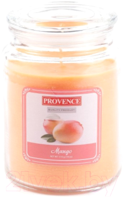 

Свеча Provence, Манго 565018