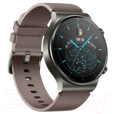 Умные часы Huawei Watch GT 2 Pro VID-B19 (туманно-серый)