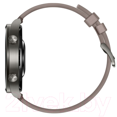 Умные часы Huawei Watch GT 2 Pro VID-B19 (туманно-серый)