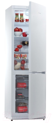 Холодильник с морозильником Snaige RF36SM-S0002G0