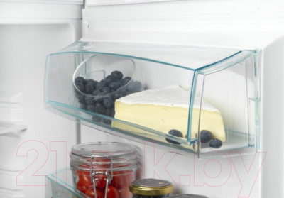 Холодильник с морозильником Snaige RF36SM-S0002G0