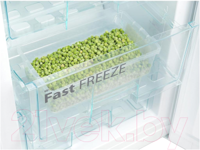 Холодильник с морозильником Snaige RF36NG-P000NG0