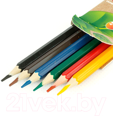 Набор цветных карандашей ЛУЧ Zoo / 29С 1739-08 (6цв)