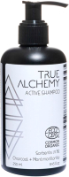 Шампунь для волос True Alchemy Active Shampoo Sorbents 1.9%: Charcoal+Montmorillonite Eсосert (250мл) - 