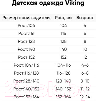 Комплект термобелья детский VikinG Riko / 500/14/3030-09 (р.128/140, черный)