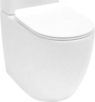 

Унитаз напольный Aquanet, Cetus C1 / 203342