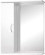 Шкаф с зеркалом для ванной Tivoli Прима 60 / 463025 - 