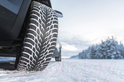 Зимняя шина Nokian Tyres Hakkapeliitta R3 SUV 215/60R17 100R (только 1 шина)
