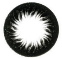 Комплект контактных линз Hera Black Flame Sph-3.50 (2шт) - 
