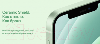 Смартфон Apple iPhone 12 Mini 64GB / MGDY3 (белый)